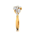 Vinevera Ring — view 3